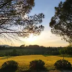 Collina Dei Fagiani *