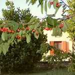 Collina Dei Fagiani Casa rural