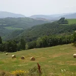 Collina Dei Fagiani