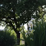 Casa rural Collina Dei Fagiani Umbertide