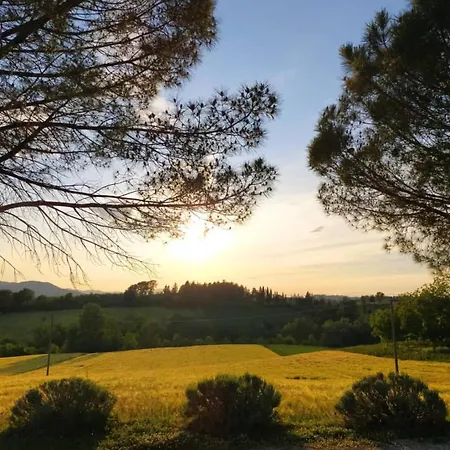 Collina Dei Fagiani *