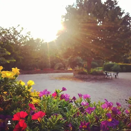 Collina Dei Fagiani Montone (Umbria)