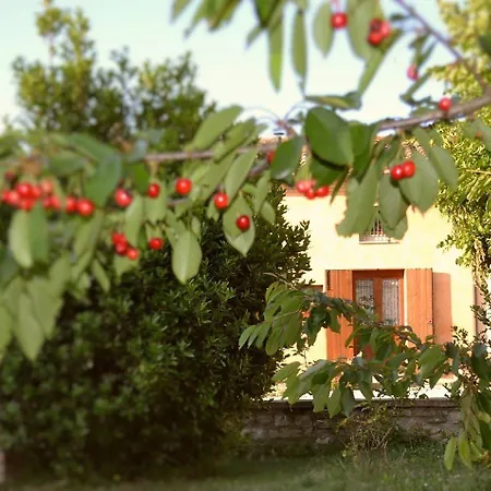 Collina Dei Fagiani Kır Evi Umbertide
