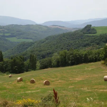 Collina Dei Fagiani