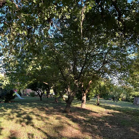 Casa rural Collina Dei Fagiani