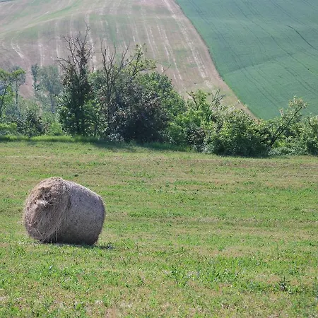 בית כפרי Collina Dei Fagiani