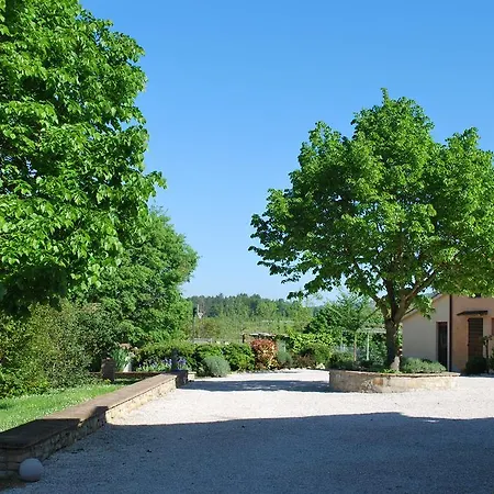 Collina Dei Fagiani *