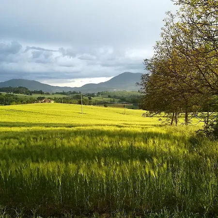 Landhuis Collina Dei Fagiani *