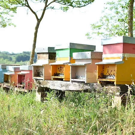 Collina Dei Fagiani Landhuis Montone (Umbria)