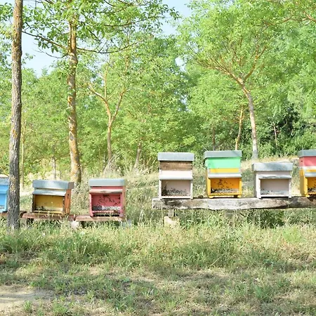 Collina Dei Fagiani Kır Evi