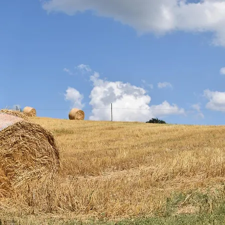 בית כפרי Collina Dei Fagiani